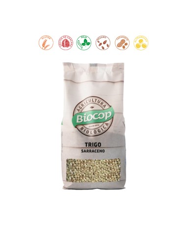 TRIGO SARRACENO - 500GR.