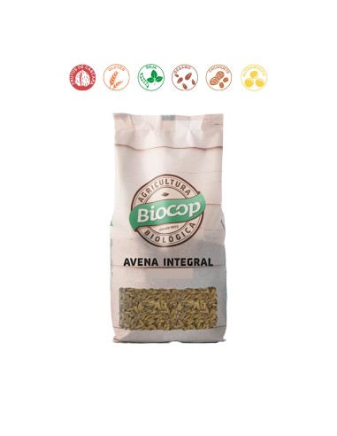 AVENA - 500GR.