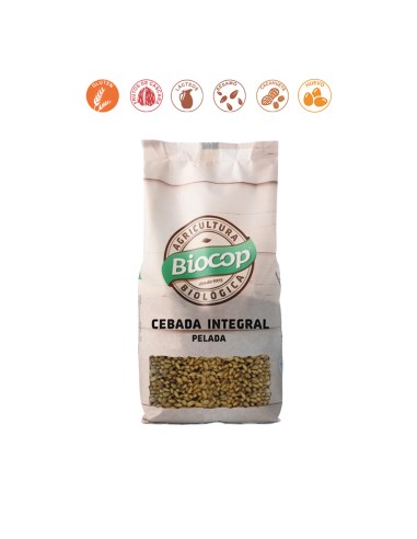 CEBADA PELADA INTEGRAL - 500GR.