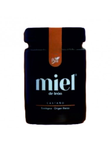 MIEL DE LEON CASTAÑO - 450GR.