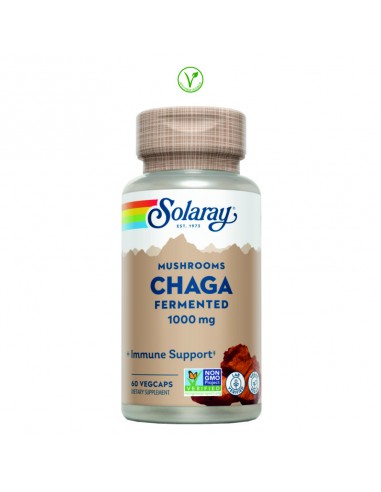 CHAGA MUSHROOM FERMENTADO - 60 CAPSULAS