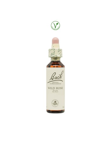 BACH (37) WILD ROSE PERSON. APATICA - 20ML.