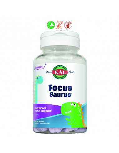 (D) FOCUS SAURUS - 30 MASTICABLES