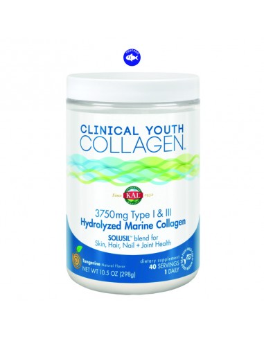 (E) CLINICAL COLLAGEN TYPE 1 Y 3 - 298GR.