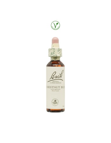 BACH (07) CHESTNUT BUD PERSON. APATICA - 20ML.