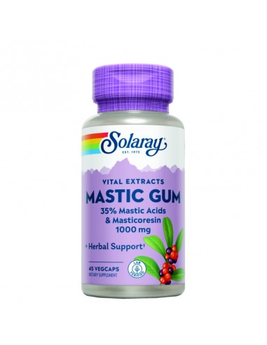 MASTIC GUM 500MG.(DIGESTIVO) - 45 CAPSULAS