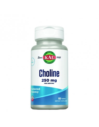 CHOLINE (COLINA BITARTRATO) 250 - 100 COMPRIMIDOS