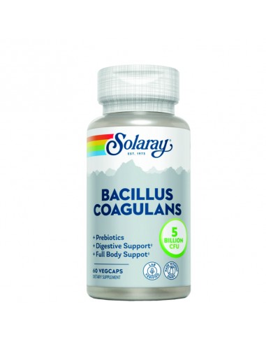 BACILLUS COAGULANS - 60 CAPSULAS