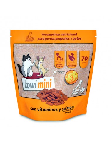 KOWI MINI SNACK - 70GR