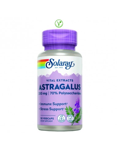 ASTRAGALUS RAIZ 200MG - 30 CAPSULAS
