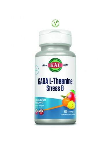 GABA L-THEANINE STRESS B SUBLINGUAL - 100 COMPRIMIDOS