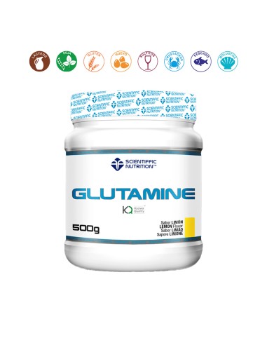 GLUTAMINE LIMON - 500GR.