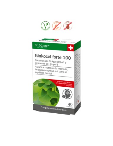 GINKOCEL FORTE 100  - 40 CAPSULAS