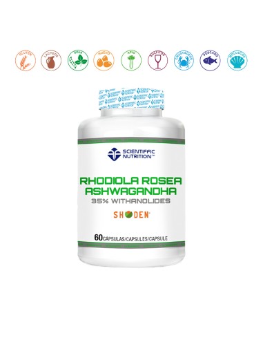 RHODIOLA ROSEA + ASHWAGANDHA - 60CAPSULAS