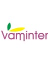 Vaminter