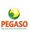 Pegaso