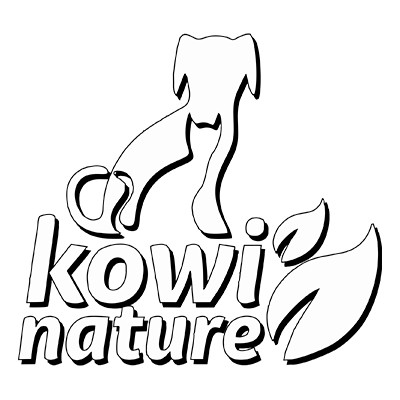 Kowi