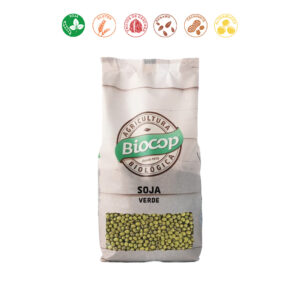 SOJA VERDE - 500GR.