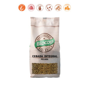 CEBADA PERLADA - 500GR.