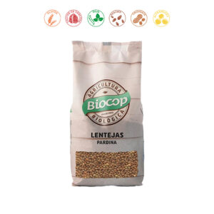 LENTEJA PARDINA - 500GR.
