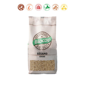 SESAMO CRUDO - 500GR.