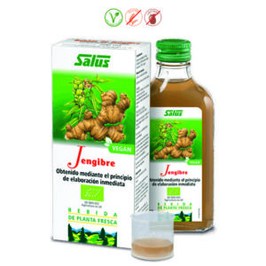 JENGIBRE JUGO BIO - 200ML.