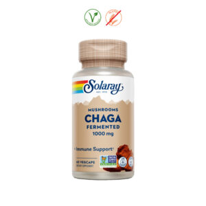 CHAGA MUSHROOM FERMENTADO - 60 CAPSULAS