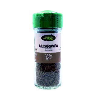 SAZONADOR PANGEA BIO - 60GR.