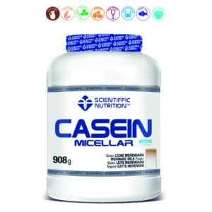 CASEIN MICELLAR LECHE MERENGADA - 908GR.